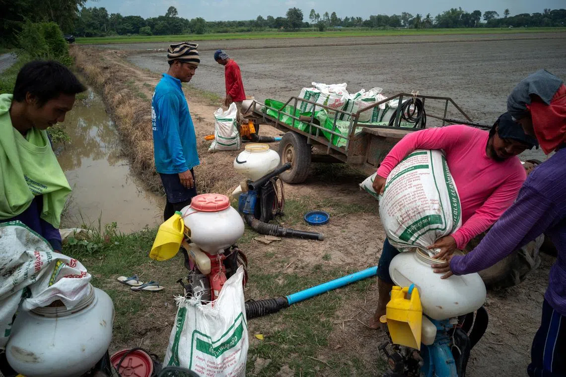Thai farm debt crisis deepens in early test for Anutin's government