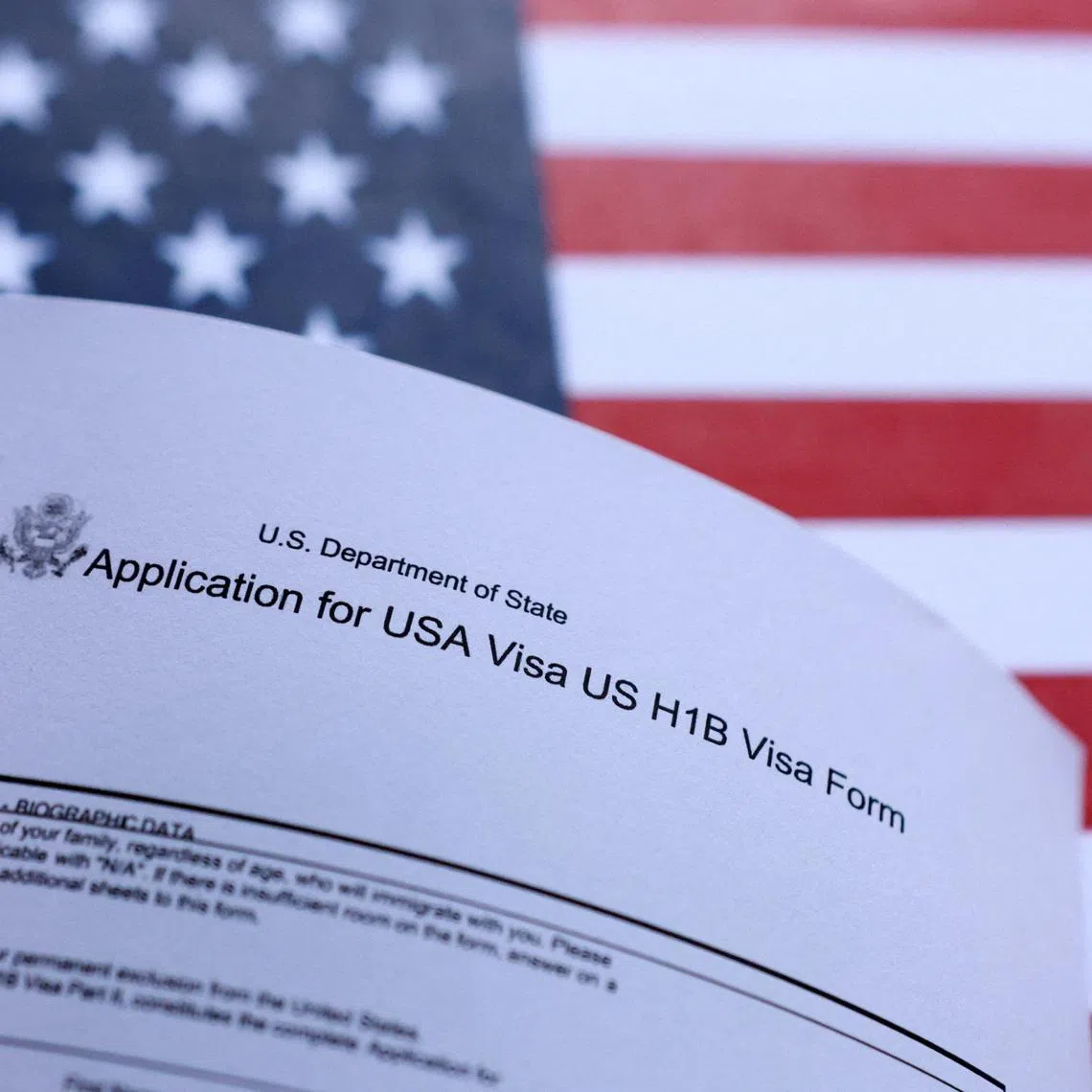 FILE PHOTO: U.S. flag and U.S. H-1B Visa application form are seen in this illustration taken September 26, 2025. REUTERS/Dado Ruvic/Illustration/File Photo
