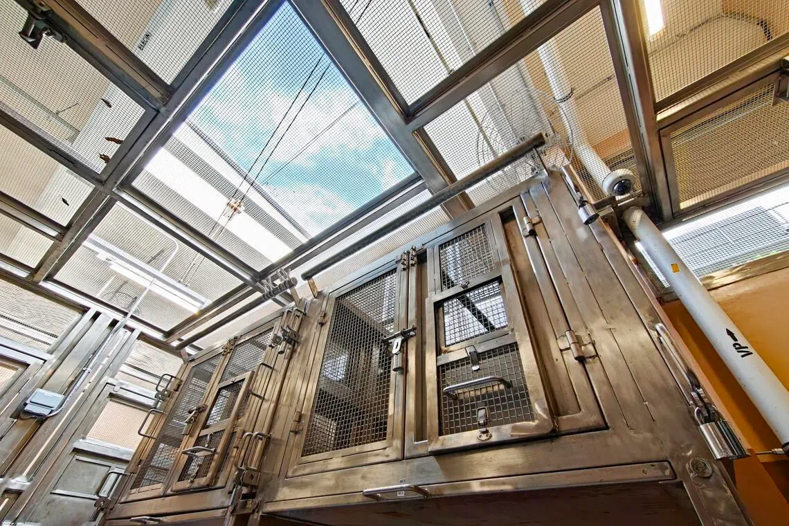 A large animal ward with a retractable roof for natural daylight and which helps with additional ventilation at the Wildlife Healthcare and Research Centre.