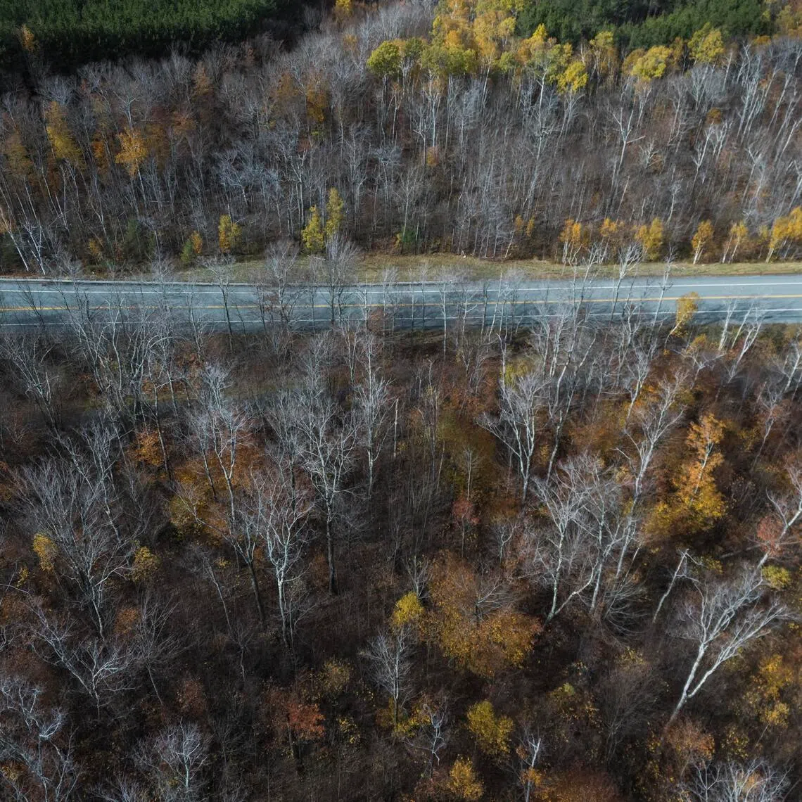 A road in Lincoln, N.H. where Betty and Barney Hill in 1961 claimed to have encountered a UFO, the first widely-reported such encounter, seen here on Oct. 24, 2025. Through trinkets and tales, a UFO story that once captured national attention lives on in Lincoln. (John Tully/The New York Times)