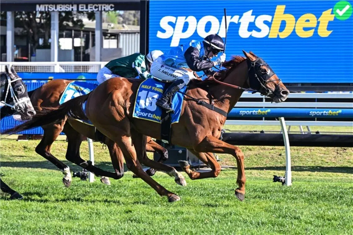 melbournecup04 - Half Yours


