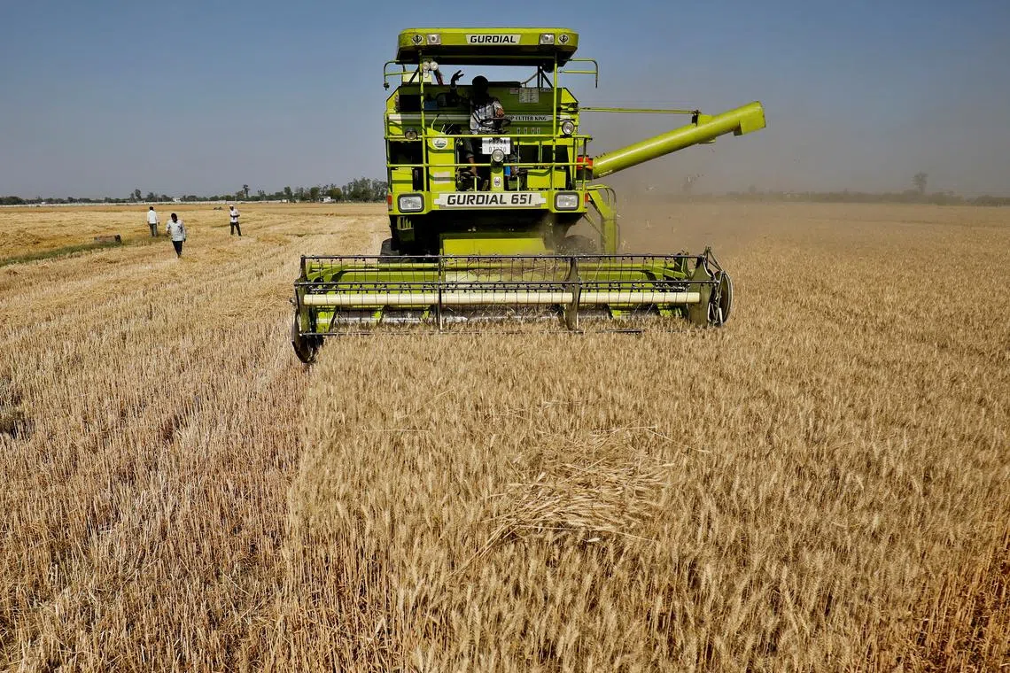 FILE PHOTO: A combine harvests wheat at a field on the outskirts of Ahmedabad, India, March 16, 2022. REUTERS/Amit Dave/File Photo