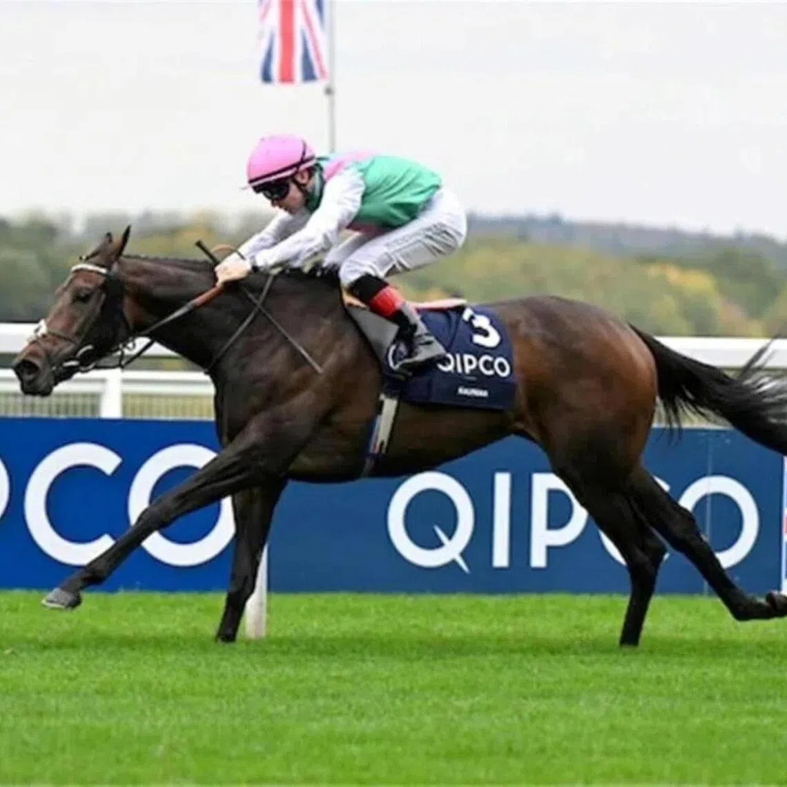 Kalpana - Kalpana (Colin Keane) claiming her second victory in the Group 1 British Champions Fillies & Mares Stakes at Royal Ascot on Oct 18, 2025 after winning it in 2024. The Andrew Balding-trained five-year-old mare has gone on to take out the Group 1 King George VI & Queen Elizabeth Stakes (2,414m) at Royal Ascot on July 25.

PHOTO: RACING AND SPORTS