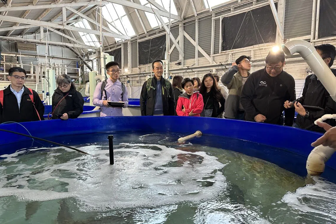 Senior Minister of State for Sustainability and the Environment Koh Poh Koon (centre) with some members of the Singapore delegation at the Fremantle Marine Finfish Hatchery on June 30.