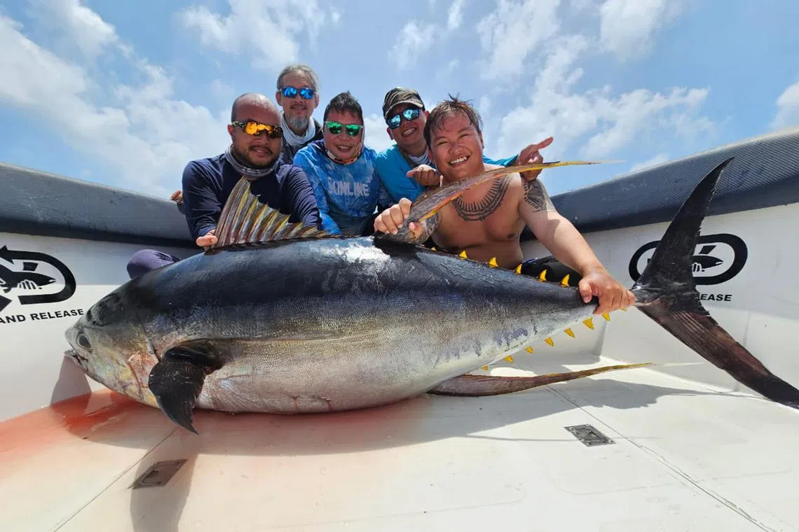 On a fishing expedition to Maldives in March, pub owner Tan Yu Chen (right), 28, and a group of anglers on board reeled in a 100kg yellowfin tuna.