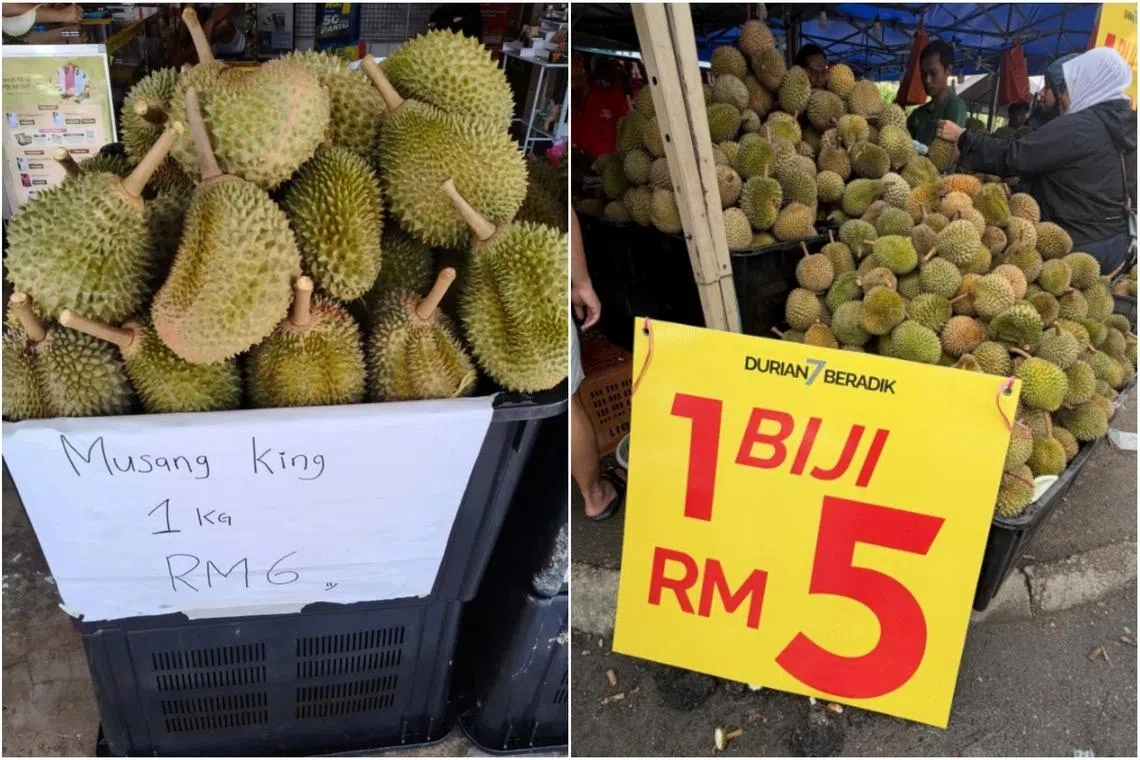 Durian prices in Malaysia crash to 16 cents each as oversupply hits market