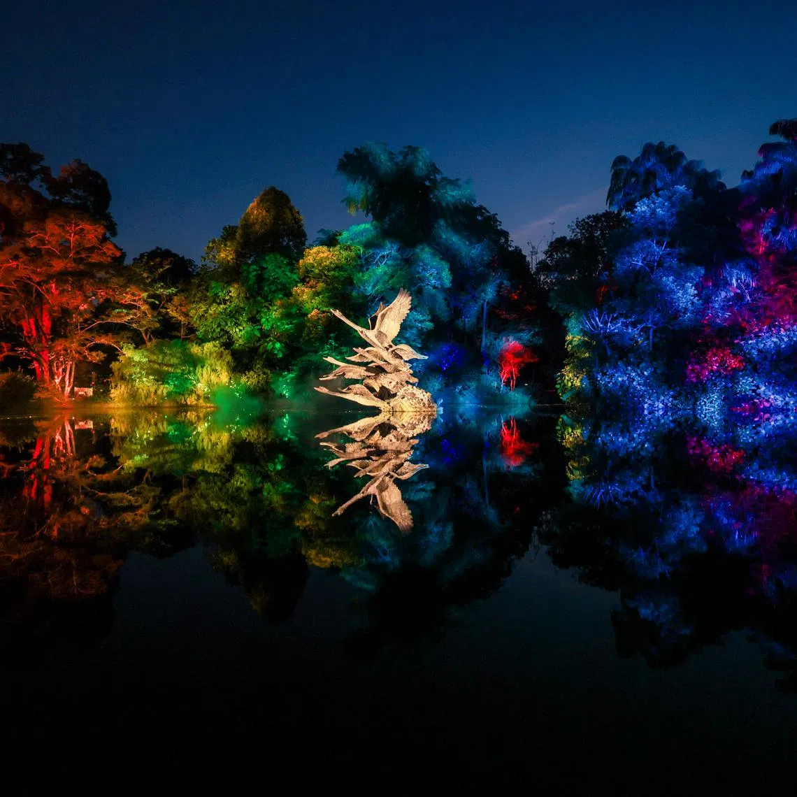 Light shows are taking place daily until Aug 10 at two locations in the Botanic Gardens – Swan Lake and Tanglin Gate.