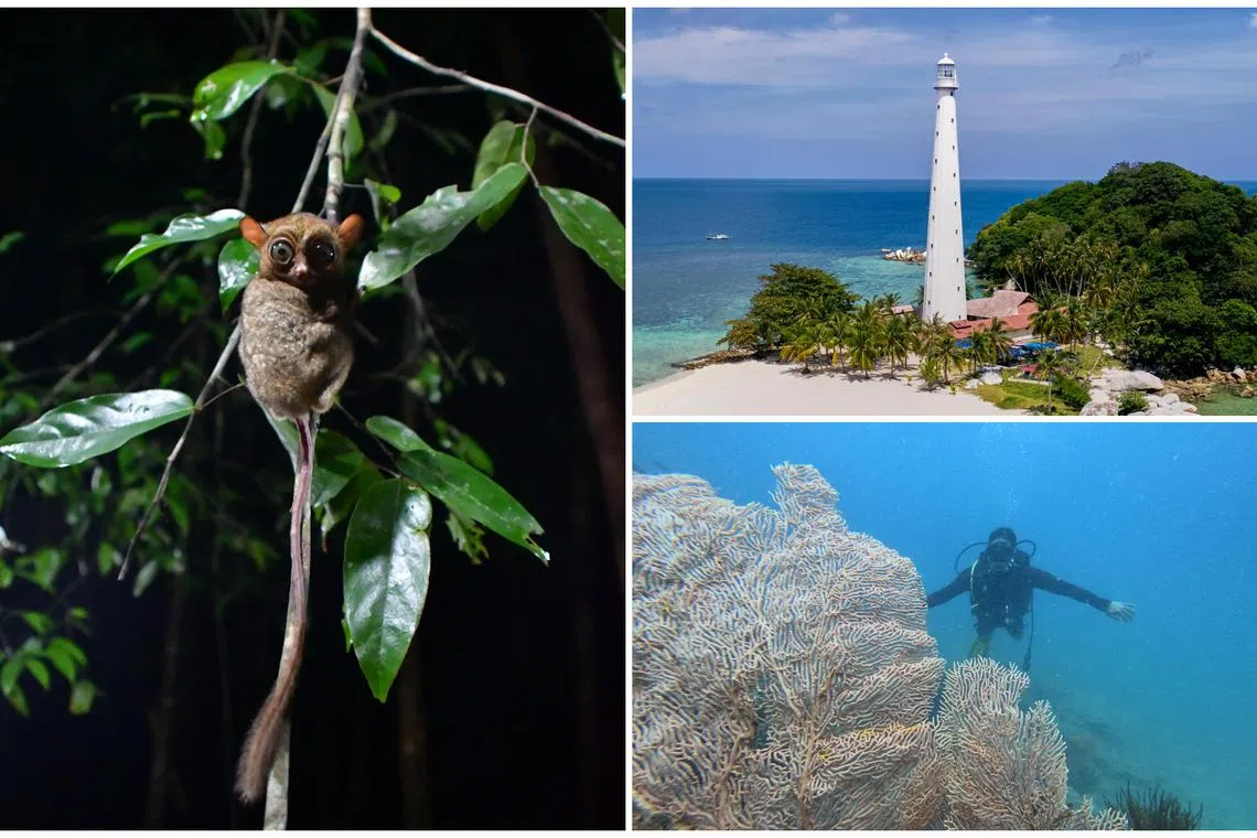 Belitung ticks all the boxes for a tropical island getaway that is a far cry from Bali’s frenetic crowds and traffic.  