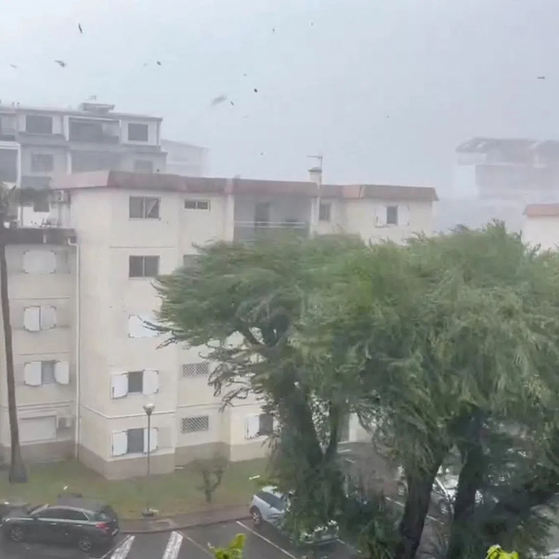 Wind blows through trees as Cyclone Garance hits Saint-Denis, in the French island La Reunion, February 28, 2025, in this screen grab obtained from a social media video. Ferran Ruz/@meteosabadell/X/via REUTERS