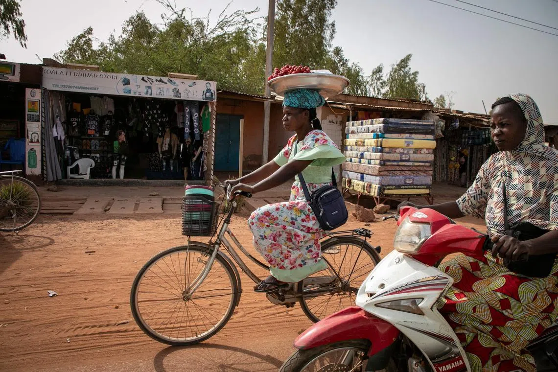 Jacqueline Taonsaon balances a plate of strawberries on her head as she rides on her bicycle to the market in Ouagadougou on March 28, 2024. In the suburbs of Ouagadougou, the round leaves of strawberries are replacing cabbage and salads. An “oddity” in the heart of the Sahel, Burkina strawberries invade the stalls of local markets, a “red gold” which is now also exported beyond the borders. (Photo by FANNY NOARO-KABRÉ / AFP)