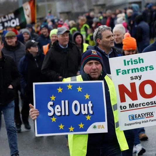 A demonstrator holding signs in a farmers' protest against the EU-Mercosur free trade agreement, in Athlone, Ireland, on Jan 10, 2026.