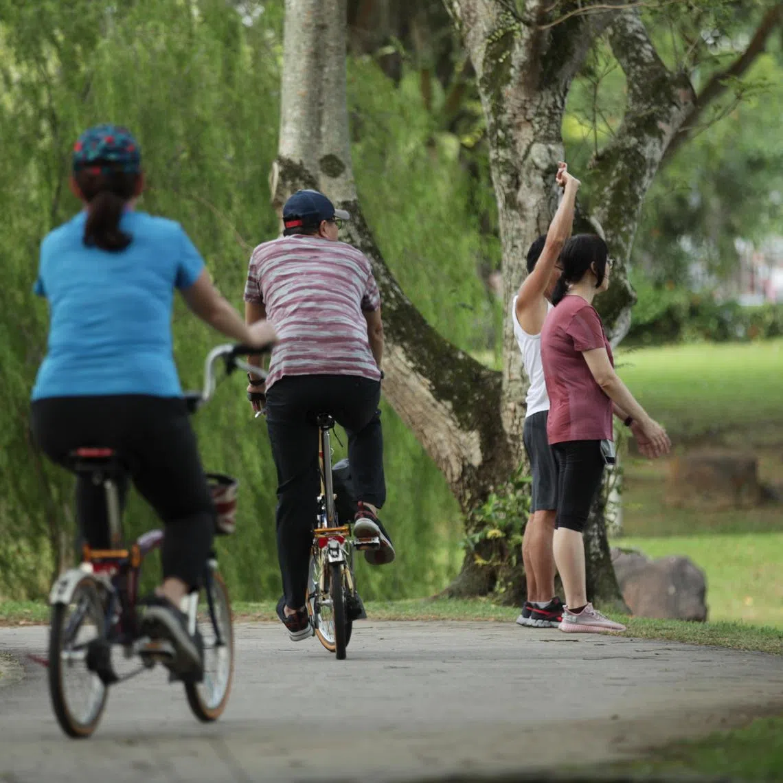 Clearly, walking and cycling (preferably not with shared bikes) have the lowest environmental impact.
