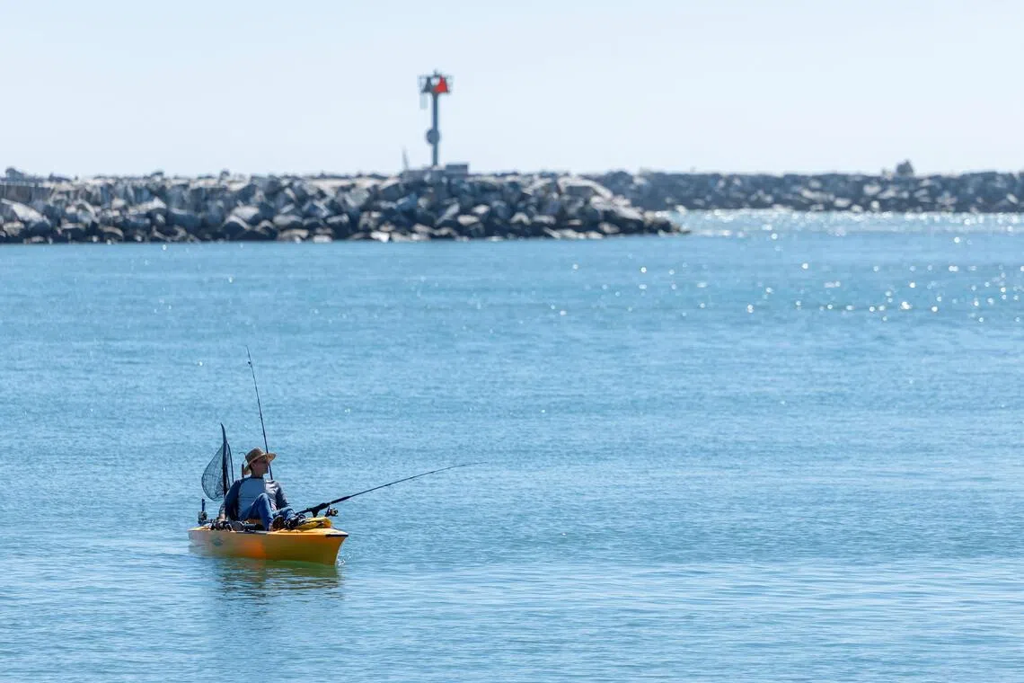 The unusually strong El Nino has brought in larger catches for fishing businesses.