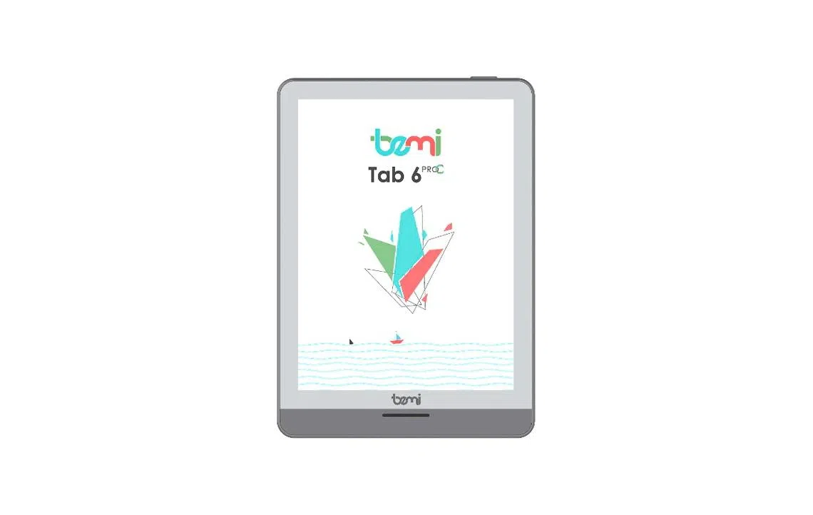 E-reader that is not Kobo or Kindle: Bemi Cognita Tab 6Pro C