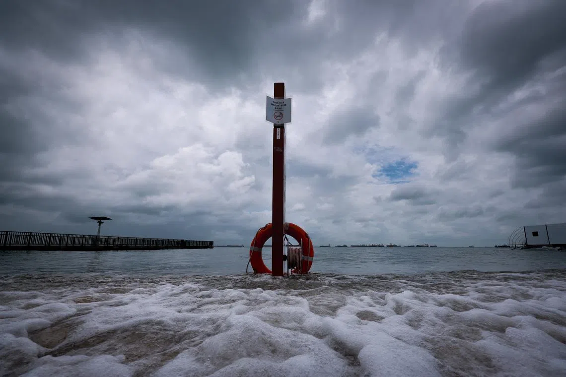 A lifebuoy partially submerged in seawater during high tide at East Coast Park on Jan 17.