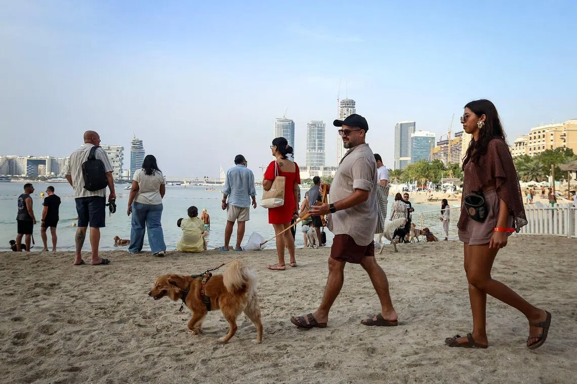 A man walks his dog during the Barkfest dog festival at Barasti Beach in Dubai on April 4. 