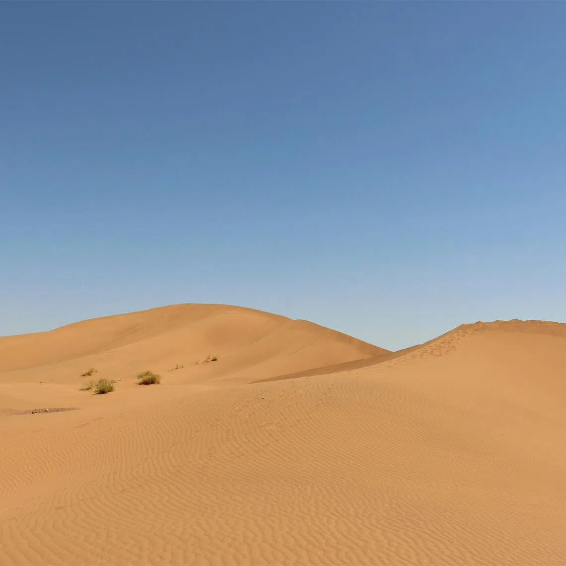 An alarmed relative had told French prosecutors that the father intended to “sacrifice” his son in the desert because he believed he was “possessed”.