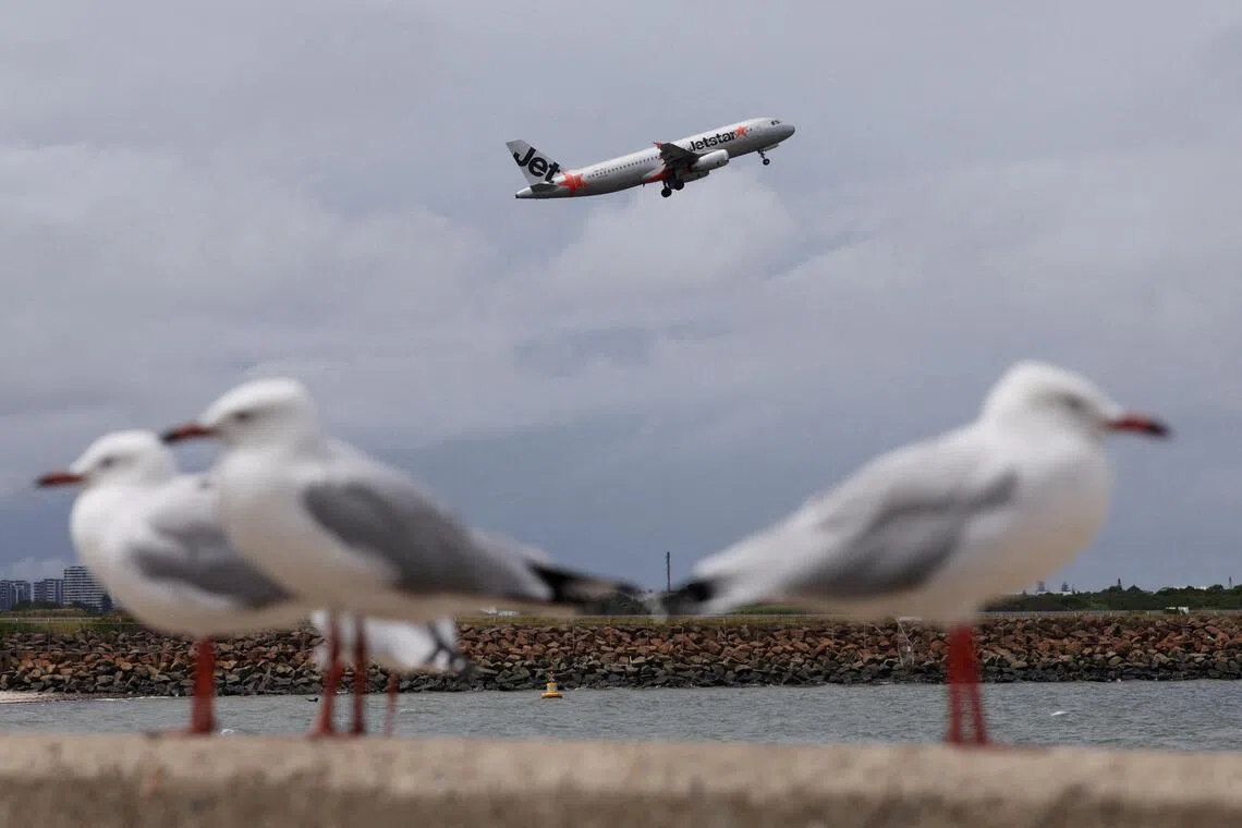 Three recent near-misses at Sydney Airport have raised concerns about safety.