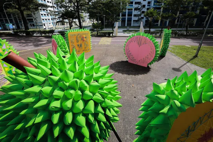 Os artistas visuais Casey Chen, 53, e Esther Ng’s, 37, arte durian gigante chamada Strings And Spikes, como parte do Giant Delight, um programa PAssionArts da People’s Association, no bloco 660 Woodlands Ring Road em 11 de dezembro de 2024 .