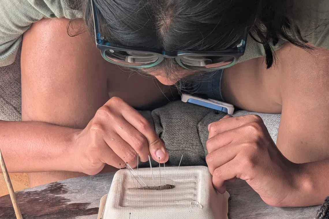 Marine biologist Nesha Ichida observes a specimen collected during the expedition.