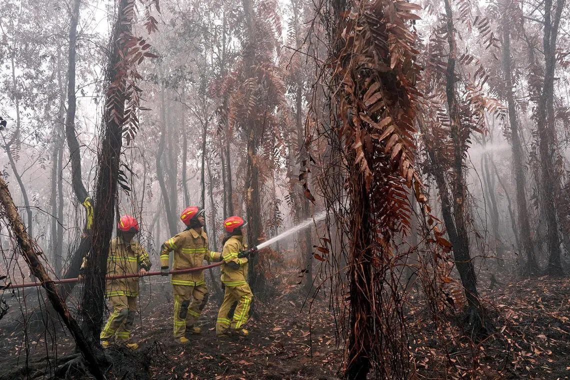 The fires are difficult to extinguish because many burn in dry peat – thick layers of partly decayed vegetation that can smoulder for weeks below the surface, beyond the reach of water sprayed from above.