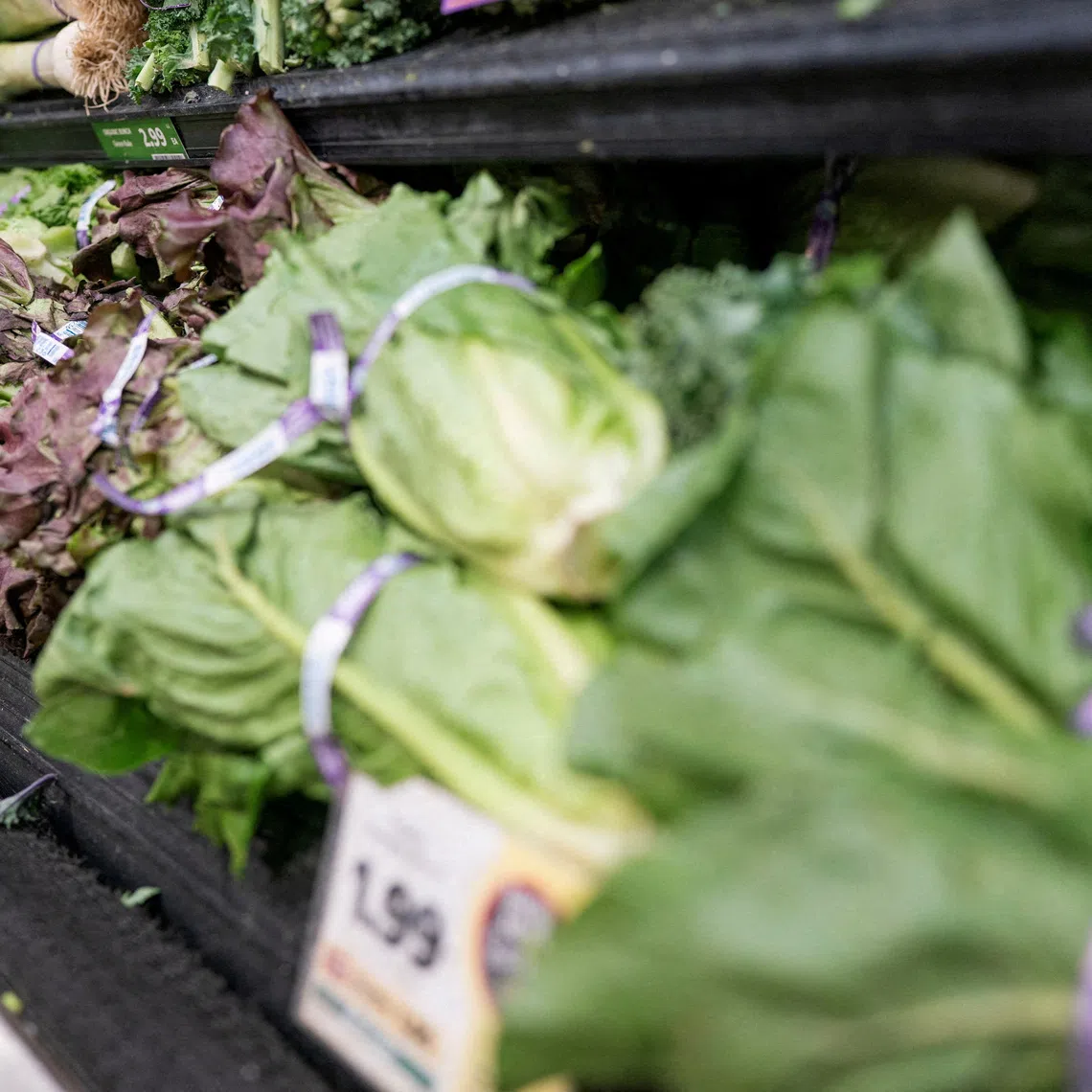 An FDA investigation linked the outbreak that has expanded to nine states to iceberg lettuce sourced from Mexico, but the authorities are still looking for other potential sources.