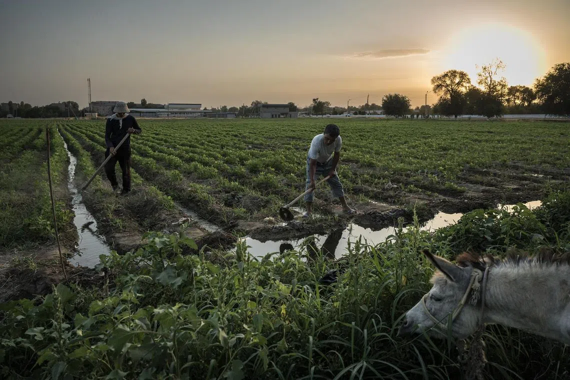  The farmers responsible for implementing new approaches to food production are largely being overlooked.