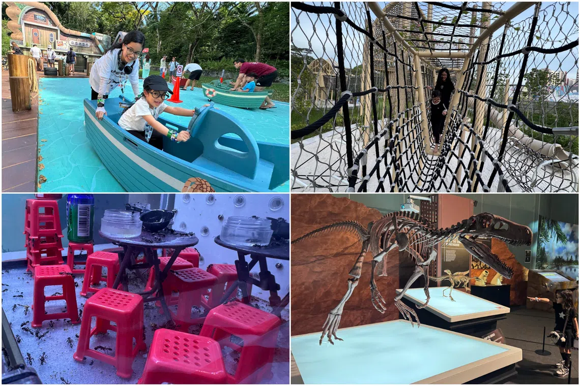 (Clockwise from top left) Join the Wild Patrol! boat ride at the Singapore Zoo, Parc Glen @ Tengah Playground, Dinosaurs | Extinctions | Us at Science Centre Singapore and a kopitiam diorama at the TinyTopia pop-up insect museum.