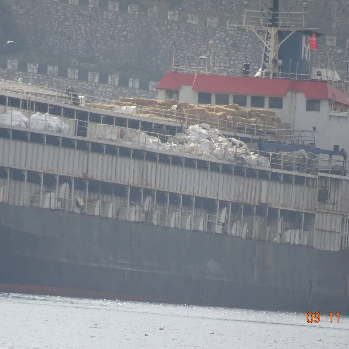 Forty-eight animals on the Spiridon II livestock carrier are thought to have died after being stranded for three weeks off the coast of Turkey.