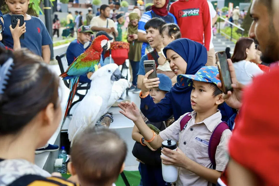 Some 500,000 local and international visitors have visited the zoo since its reopening on Aug 31, 2024.