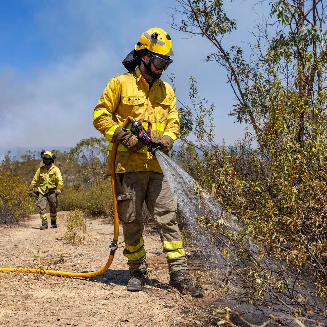 The blaze, happening north of the town of Niebla, was active in an area of around 4,000ha.