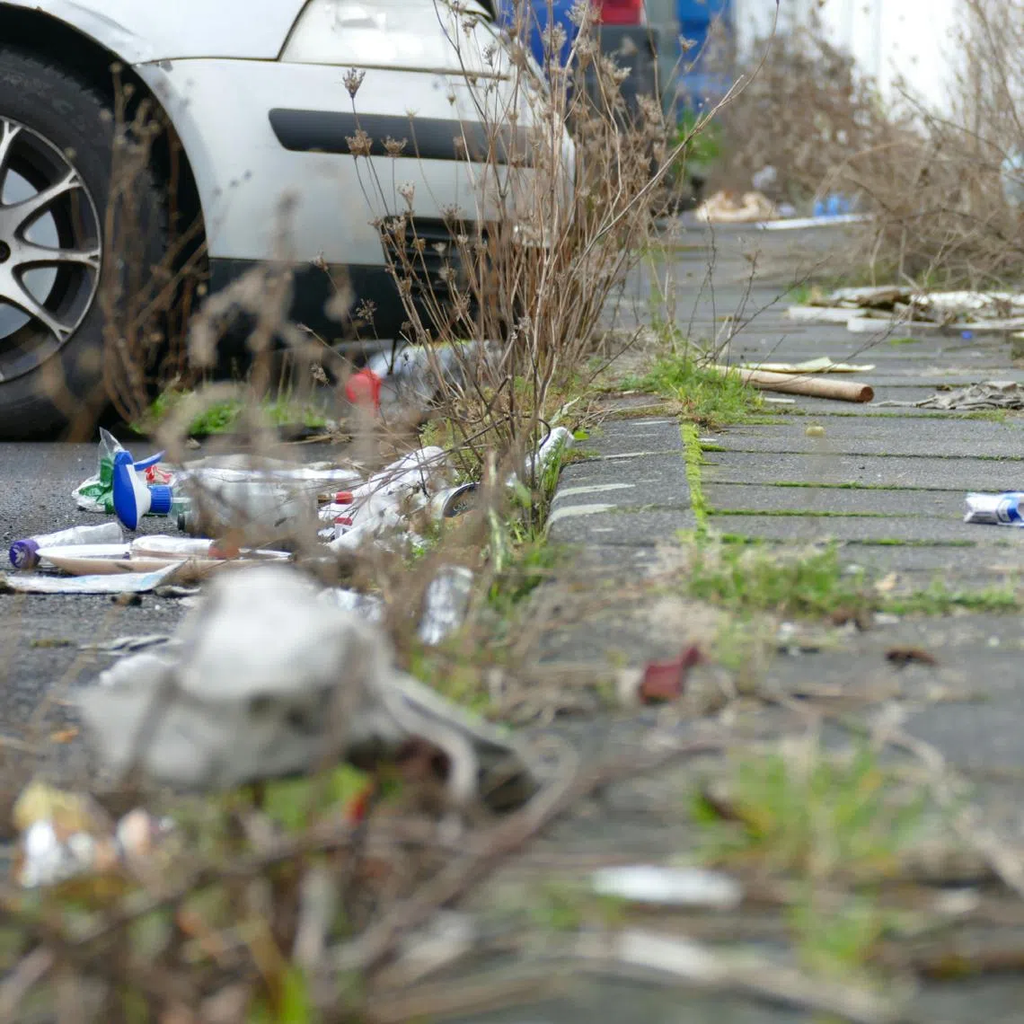 Malaysia's Housing and Local Government Minister Nga Kor Ming stressed that even minor acts, including discarding cigarette butts carelessly, could result in heavy penalties.