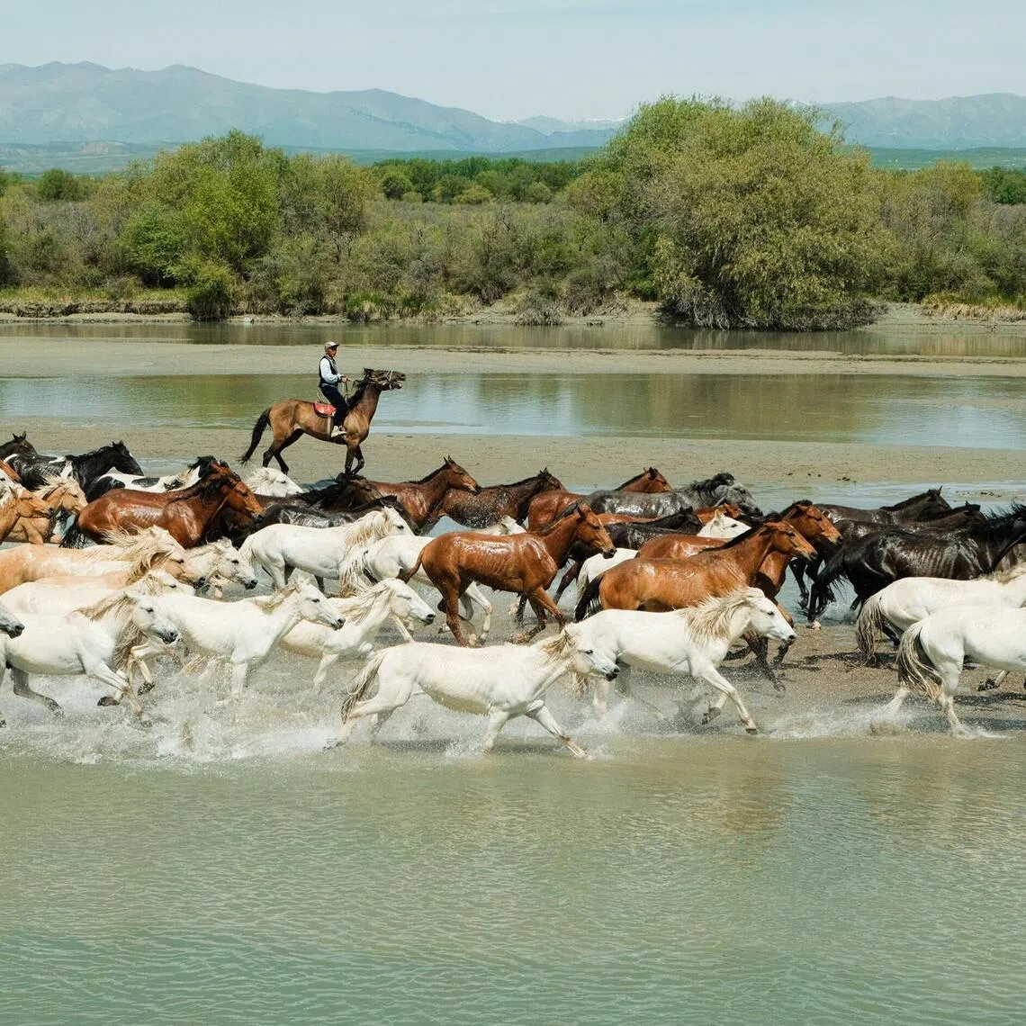 In Zhaosu, the Tian Ma Bathing in the River Show features horses racing through shallow water in a spectacle inspired by the region’s equestrian heritage.
