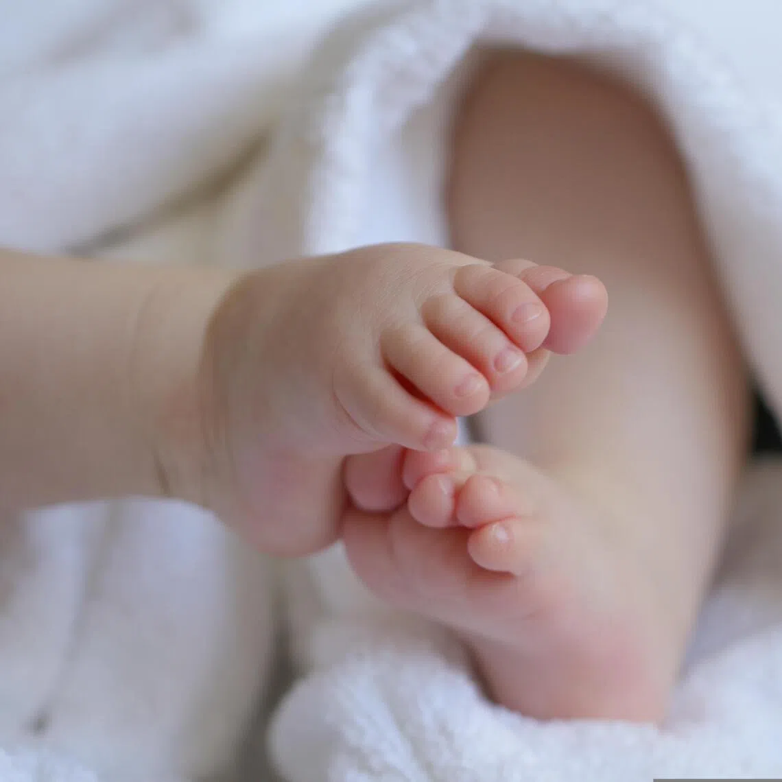 South Korea recorded 26,916 births in January, which climbed 11.7 per cent from 2025, marking the highest January figure since 2019.