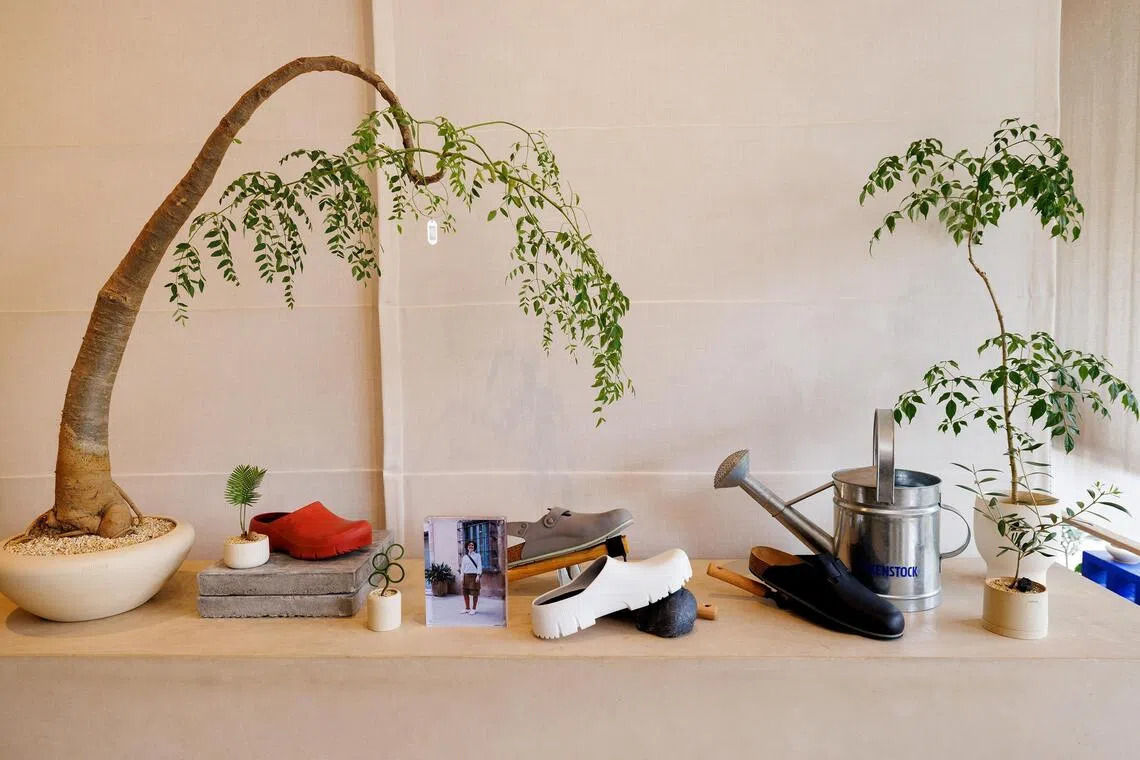 Birkenstock x Soilboy corner.
