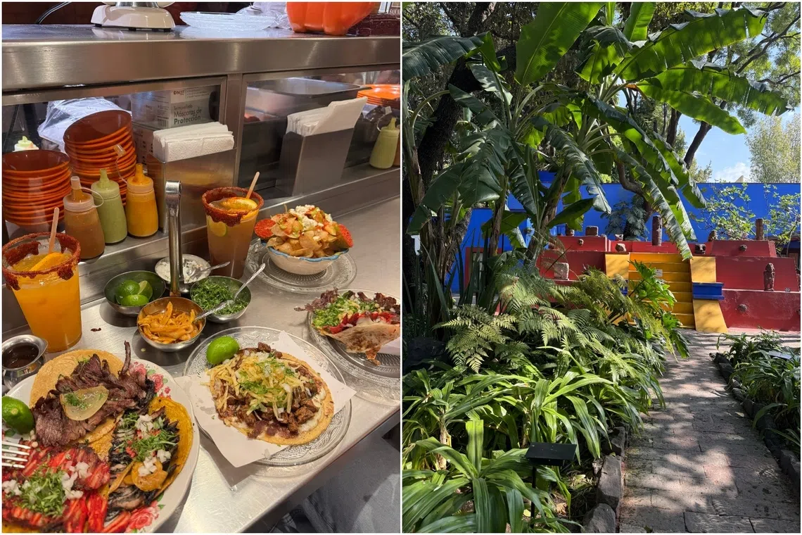 Tacos del Valle (left), serving freshly pressed tortillas and vibrant salsas. The courtyard of Museo Frida Kahlo (right) bursting with tropical greenery, all set against the iconic cobalt-blue walls.