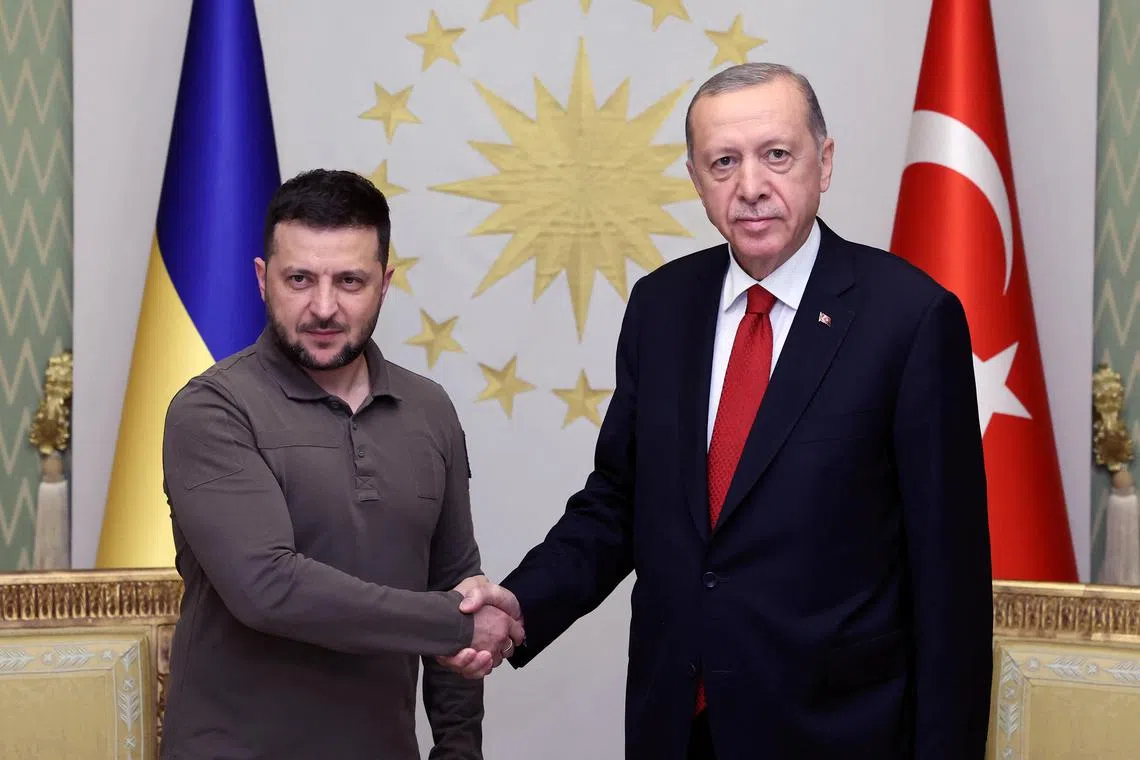 Ukraine's President Volodymyr Zelensky is welcomed in Istanbul by Turkish President Tayyip Erdogan.