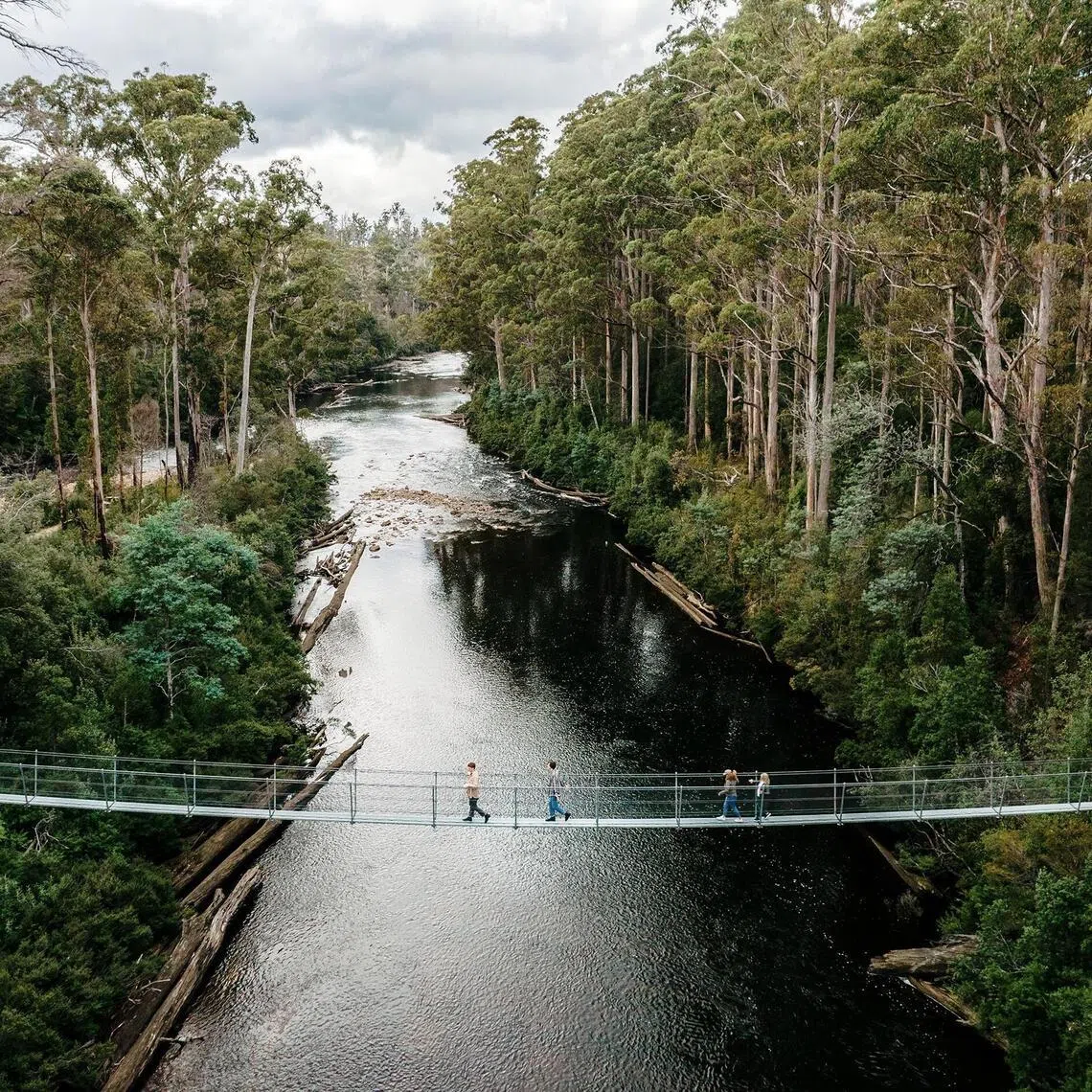 Tahune Adventures includes walking trails and suspension bridges that overlook the Huon and Picton rivers.