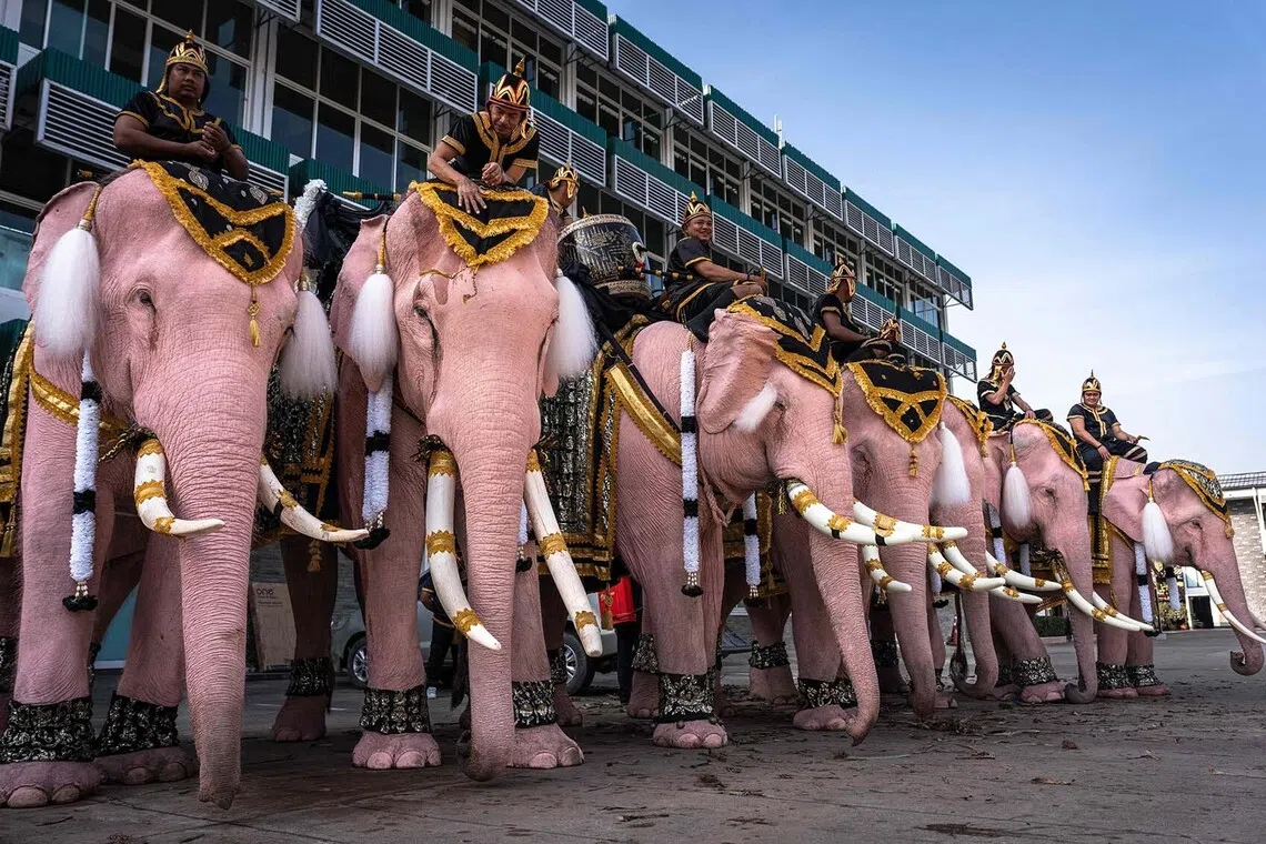 Mahouts riding on painted elephants as they march to pay their respects to Thailand's late former queen Sirikit at the Territorial Defence Command in Bangkok on Nov 27, 2025. 