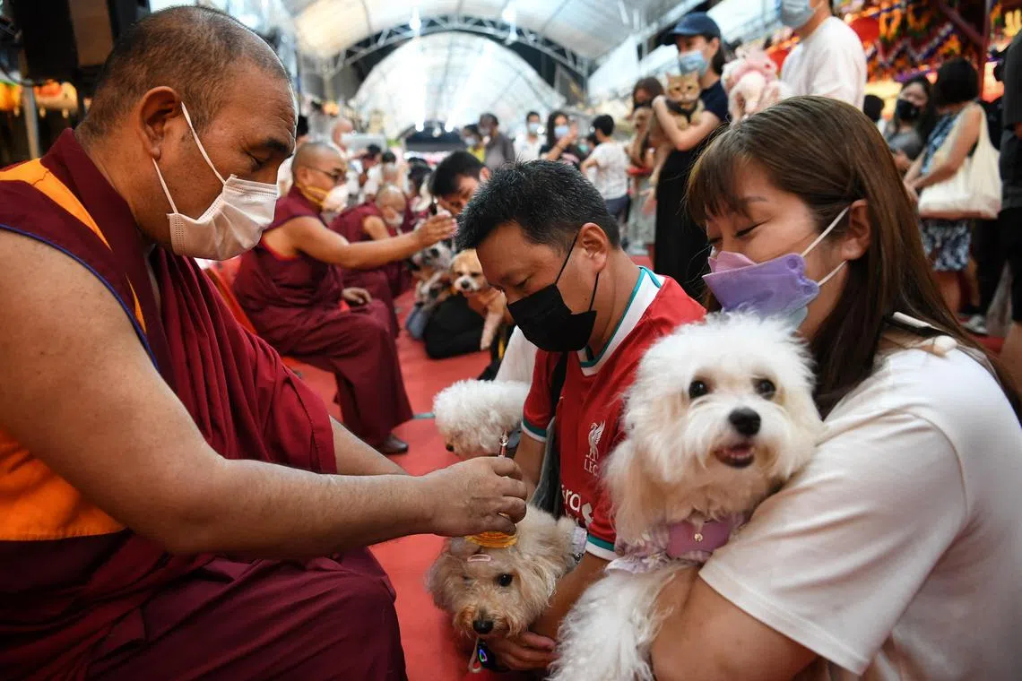 Devotees and their pets seek blessings from the monks at Thekchen Choling temple on May 14, 2022.
