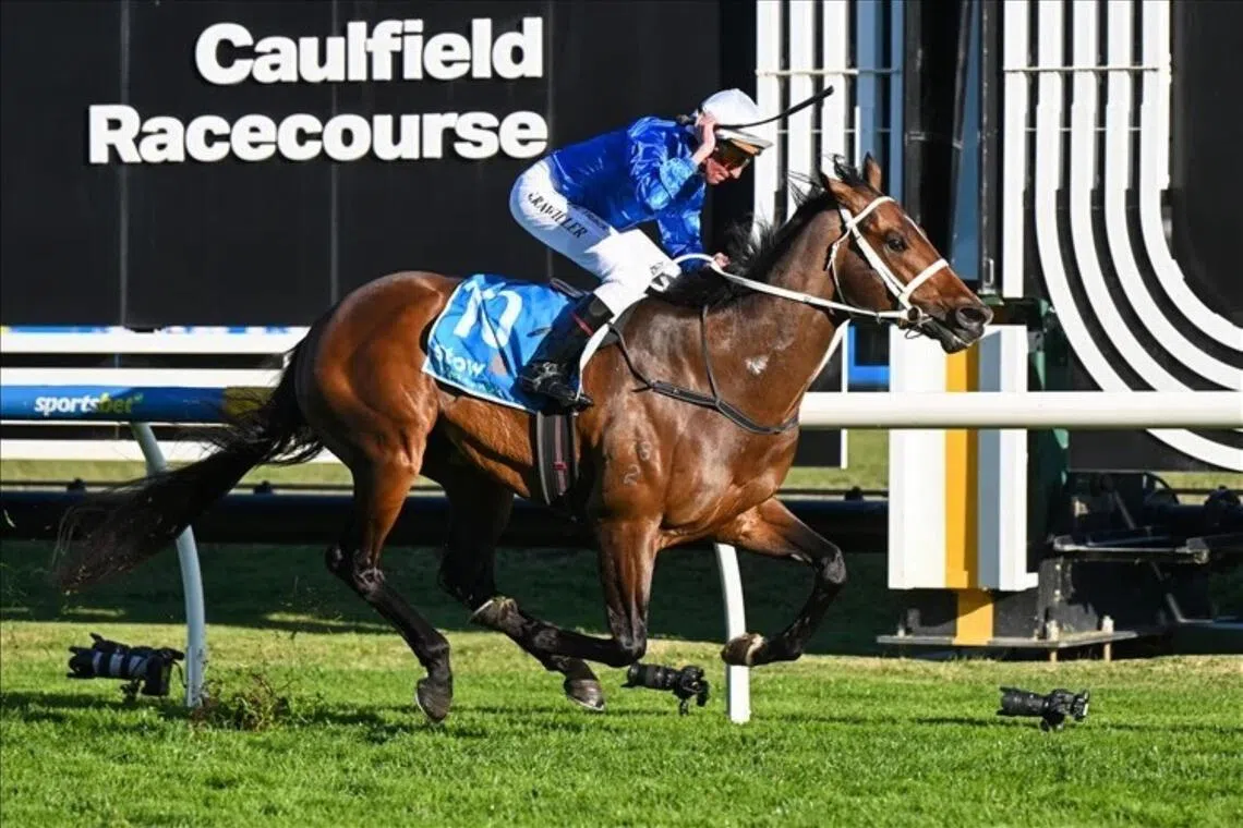 Nash Rawiller - Nash Rawiller waving his whip as he steers Beiwacht to a comfortable win in the Group 1 Memsie Stakes (1,400m) at Caulfield on Aug 29.

PHOTO: RACING PHOTOS