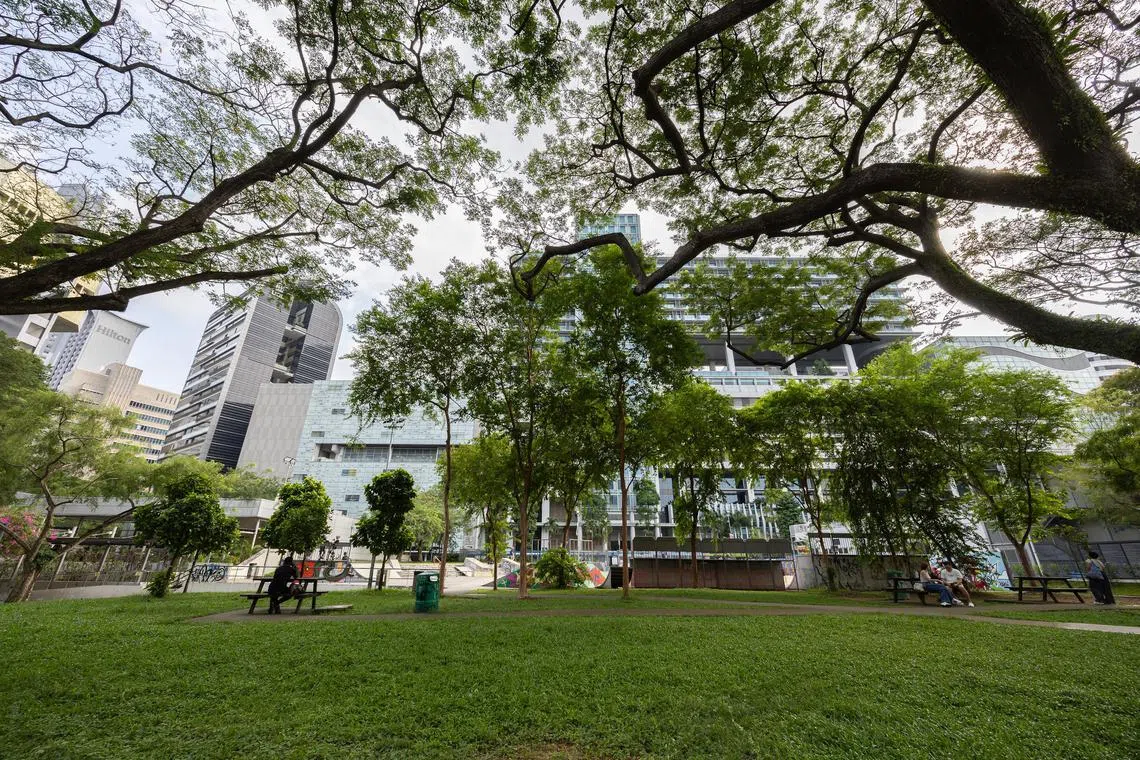 ST20240608_202419632372/elsomerset09/Brian Teo/Esther Loi/Members of the public relaxing behind the skate park at Somerset on June 8, 2024. This area has been slated to be developed into the Incubation Nexus, where reconfigurable interactive plaza furniture will be included to allow for different events to be hosted within the space.This is one of the developments as part of the tender that  the Ministry of Culture, Community, and Youth (MCCY) called to rejuvenate Somerset into a youth-oriented precinct.  ST PHOTO: BRIAN TEO
