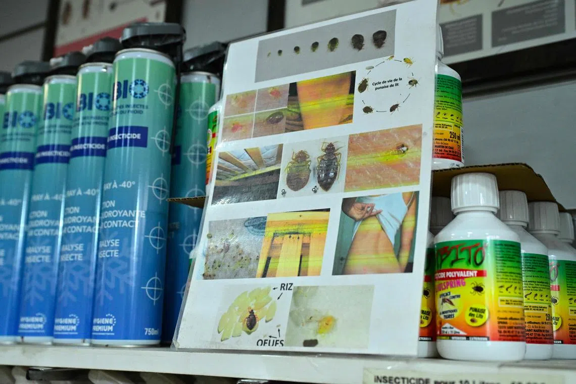 This photograph taken on October 3, 2023 shows different products used to eradicate bedbugs at the Hygiene Premium, pest control shop in Paris. The French government said on September 29, 2023 that it was launching a concerted effort to fight bedbugs that have appeared in numbers in public transport, cinemas and hospitals. The blood-sucking insects have been spotted in the Paris metro, high-speed trains and at Paris's Charles-de-Gaulle Airport, with disgusted travellers posting videos on social media. 