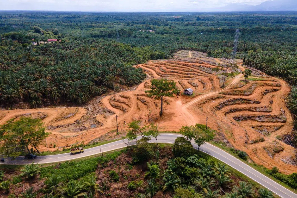 Palm oil is among the sectors that would benefit the most from wider access to the European markets, says Bank UOB Indonesia executive director Edwin Kadir.