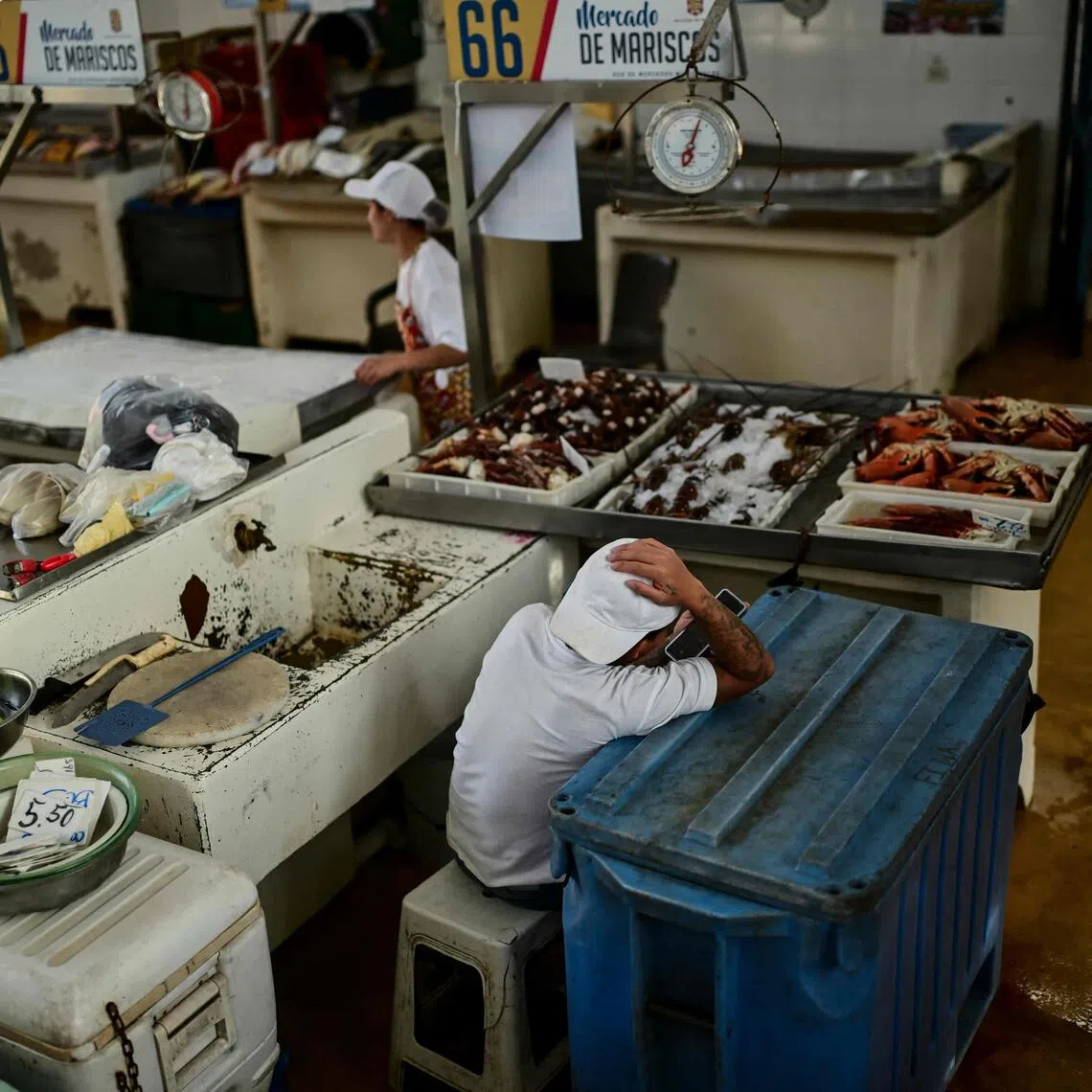 From Ecuador and Peru in South America, to Panama and Guatemala in Central America, some skippers have stopped going out all together as fish stocks dwindle close to shore in seas running at up to 6 deg C above normal.