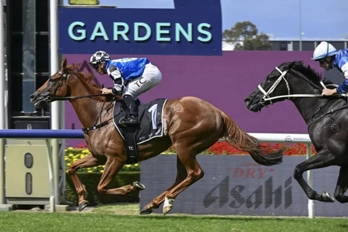 Vauban (Tim Clark) winning the Group 3 Sky High Stakes (2,000m) at Rosehill on March 14. The noted stayer will contest the Group 1 Doomben Cup (2,000m) in a small but quality field on May 23.

