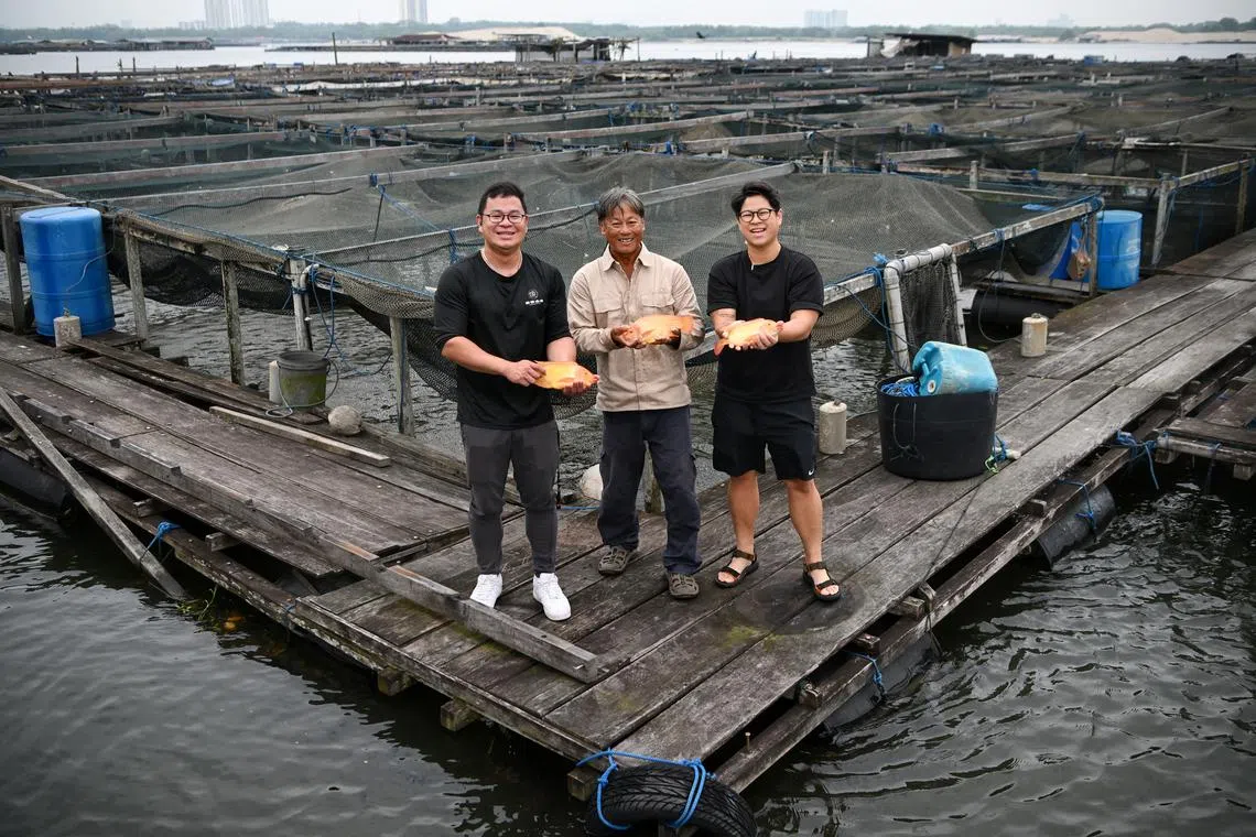 Heng Heng Fish Farm owner Yeo King Kwee (centre) with his son and farm co-owner Alvin Yeo (left) and daughter Albee Yeo, who works in the media industry. 
