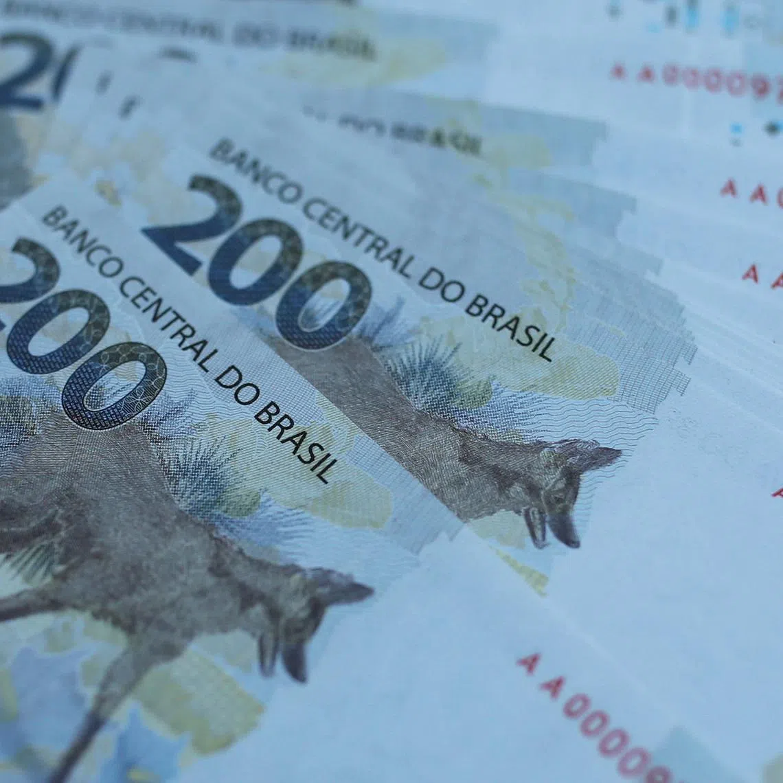 200 reais note are seen after Brazil's Central Bank issues the new note in Brasilia, Brazil September 2, 2020. REUTERS/Adriano Machado/File Photo