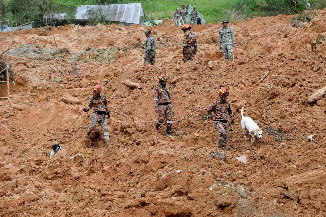 Search and rescue personnel with K-9 search dogs at the landslide site in Batang Kali, Selangor.