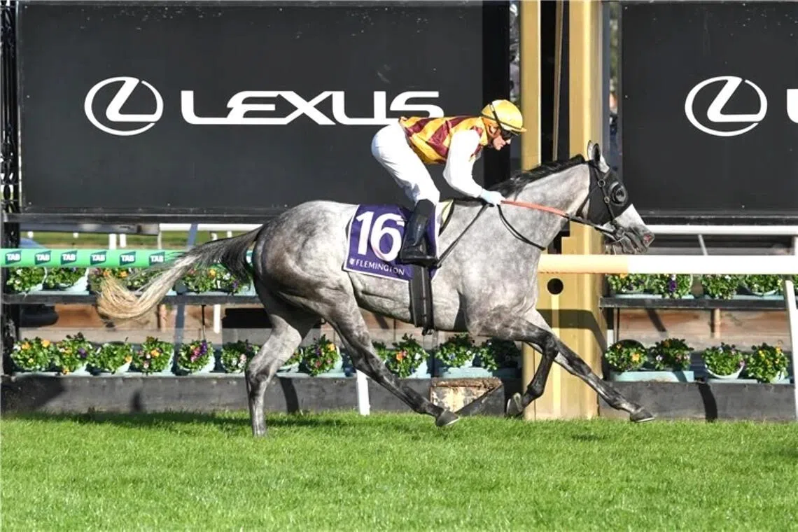 Silvasista (Luke Currie) landing the spoils in the Listed VRC St Leger (2,800m) at Flemington on April 25
PHOTO: RACING PHOTOS